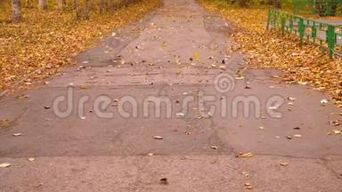 风吹着秋天的树叶在城市公园的小路上慢动作。 秋天的落叶